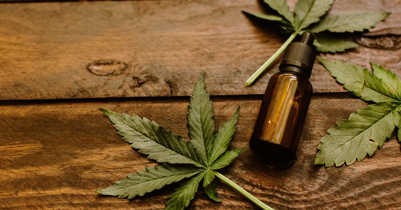 Study proving efficacy of CBD in battling opioid addiction may pave way for widespread cannabis and hemp-based medical treatment, experts say
