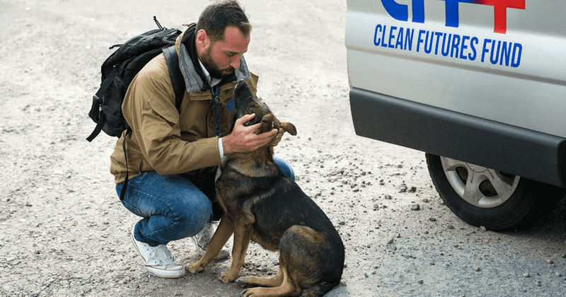 33 years after Chernobyl's nuclear disaster, hundreds of stray dogs still call the exclusion zone their home