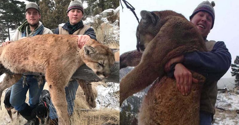 3 Montana hunters who illegally killed Yellowstone mountain lion caught after posting celebratory photos on social media