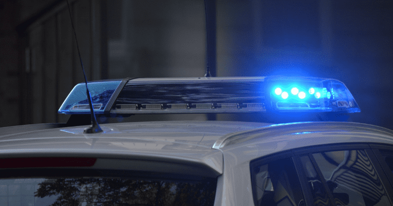 Chicago police investigating retired sergeant who 'forced transgender woman to perform sex act on him'