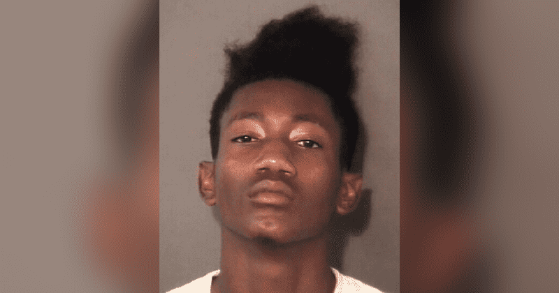 11-year-old North Carolina boy who stopped home intruder with machete says 'I knew I had to do something'
