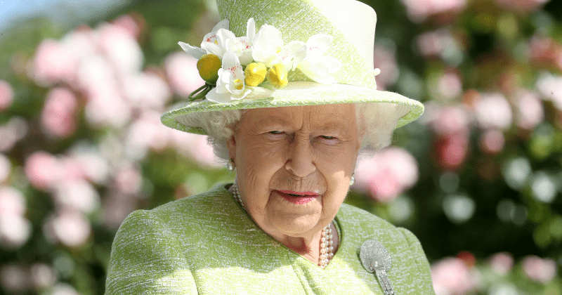 Queen horrified after spotting rats running through Palace kitchens, pest control called in to tackle menace