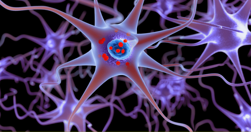 Mouse model reveals Parkinson’s disease begins in gut and travels up neurons to brain: Study