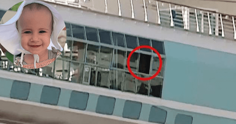 Grandpa did not dangle toddler from ship window, says family lawyer who blames cruise line for the girl falling to her death