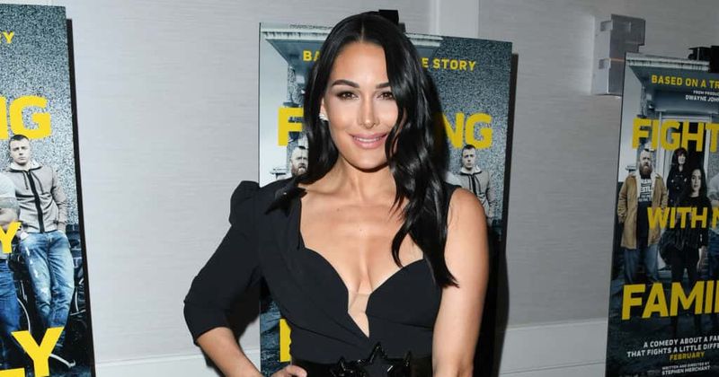 Brie Bella says she wants to 'protect' Nikki after her split from John Cena