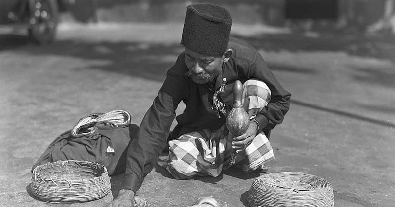 Woman suffocated to death after being buried in cow dung by a snake charmer