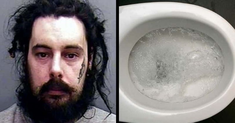 Man chopped up his girlfriend's body before flushing it down the toilet