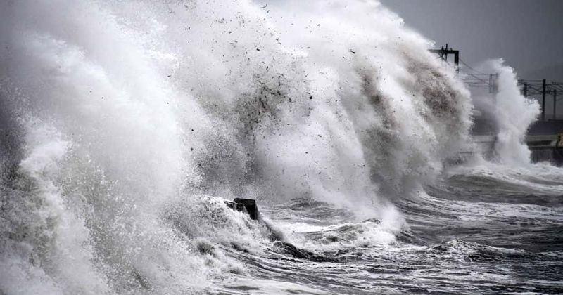 Mysterious sea creature washes up on the shores of Phillippines leaving locals baffled