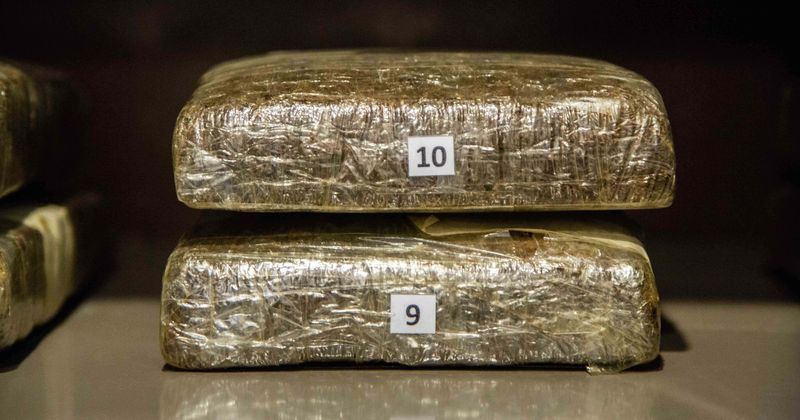 Meghan Markle's pot-farmer nephew releases new "royal" strain to honor her wedding, calls it "Markle Sparkle"