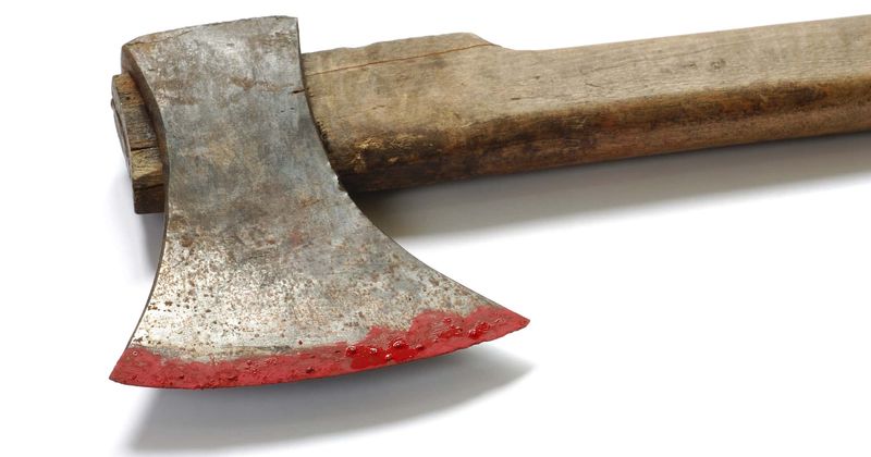 Millionaire's 23-year-old son convicted of hacking parents and older brother to death with an axe