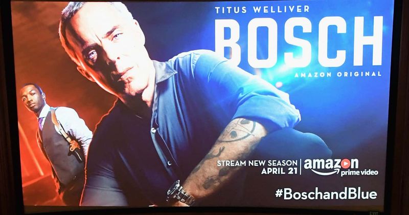 "I still have a fire in me to create": Ingrid Rogers on starring in cop drama 'Bosch' and her journey to stardom