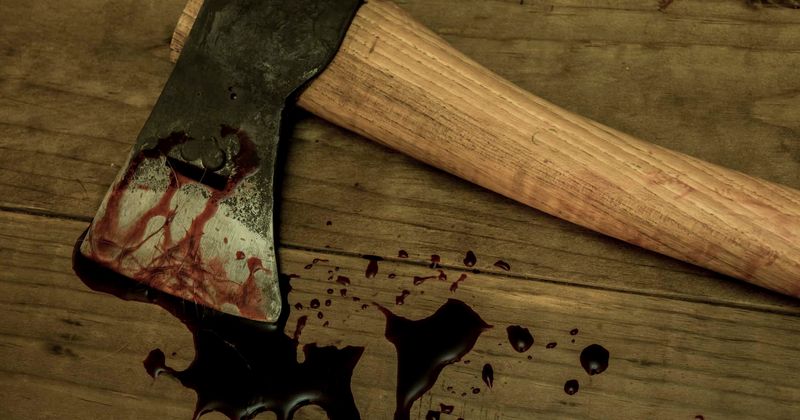 Maybe drugs or demon? Transgender ax attacker claims it was 'her body and not her' who attacked civilians