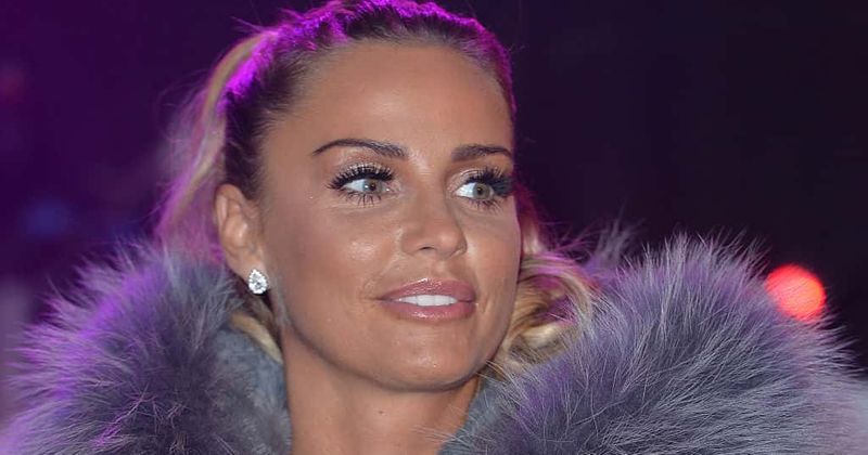 Katie Price admits to being a member of the mile high club but then she avoids the plane's toilets for her flings
