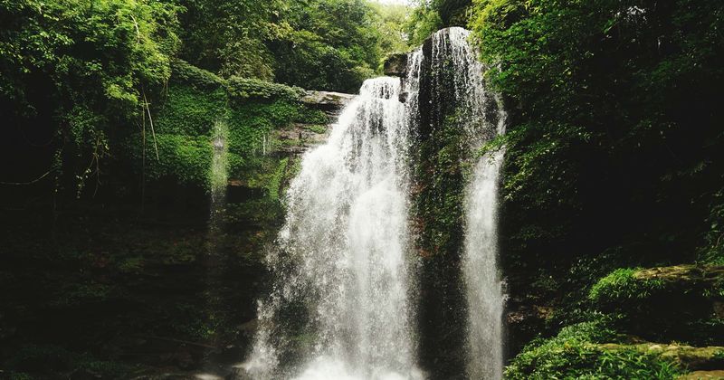 Man plummets 50ft down waterfall while attempting to take a selfie