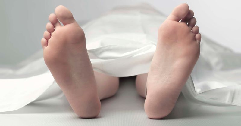 "Necrophilia is harmless": Greens candidate advocated sexual intercourse with corpse to be legalized