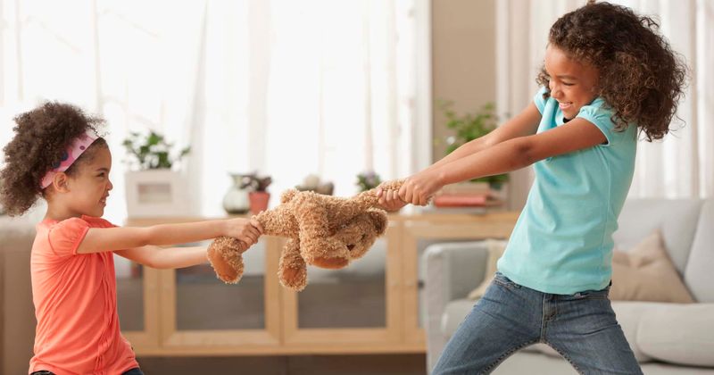 Fighting with your sibling can actually make you a better person, new study suggests