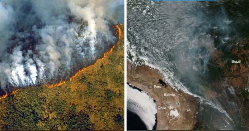 Amazon rainforest in Brazil burning at record rate as smoke from devastating fires can be seen from space