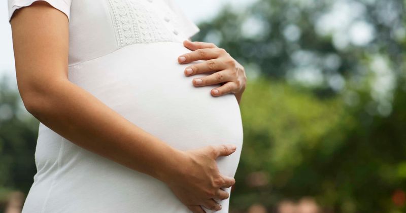 Missouri Catholic school fires unmarried pregnant teacher after praising her for not getting an abortion