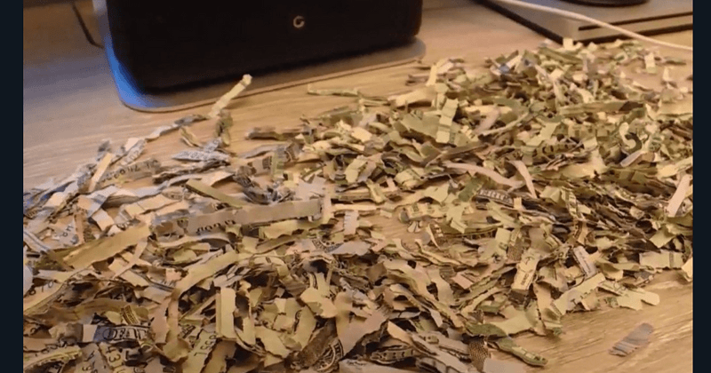 Yikes! Toddler accidentally puts over $1,000 of parents' savings through shredder