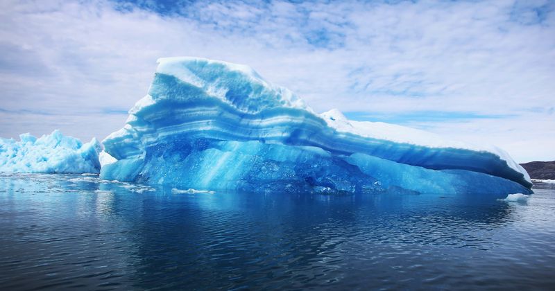 Plants and animals in the Arctic failed to reproduce in 2018 as climate change brought unusually high snowfall: Researchers