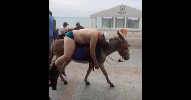 Hilarious moment police chase half-naked, drunk man slumped on a donkey