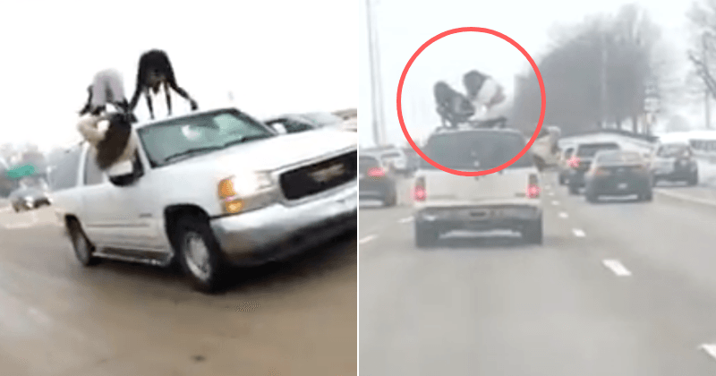Commuters shocked as two women twerk on top of speeding SUV during rush hour