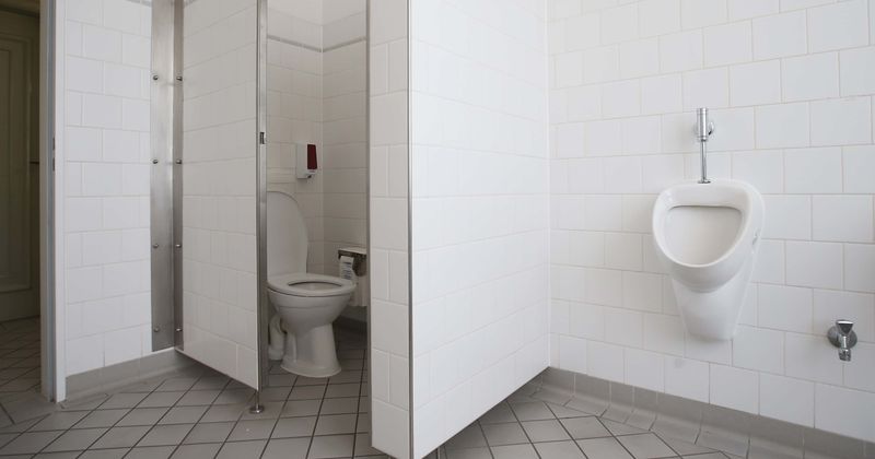Female author slams gallery for 'gender-neutral bathrooms' that force women to walk past urinals: 'Men have grabbed additional access'