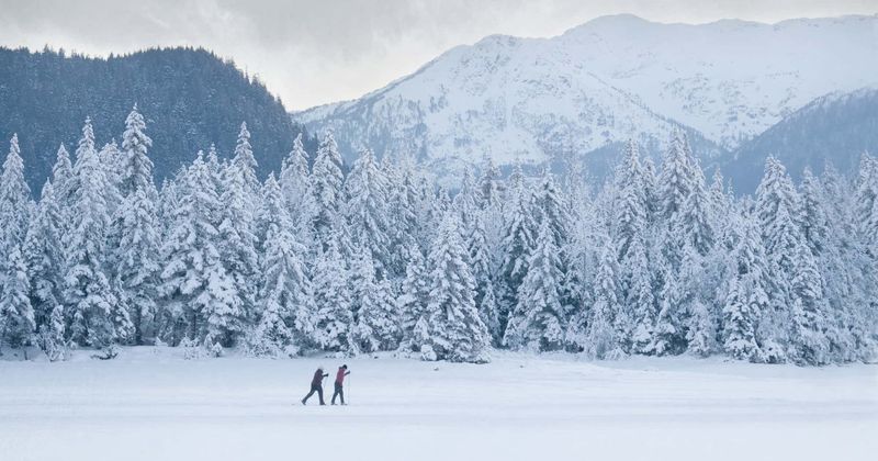 Abandoned 5-year-old carried toddler for half a mile to neighbor's house in extreme Alaskan winter, say police