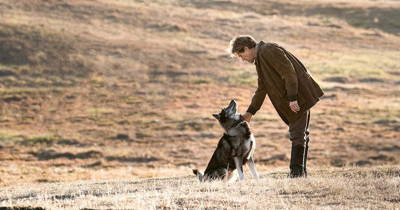 Disney Plus' doggo movie 'Togo' leaves fans in tears: 'Warning: You will cry'