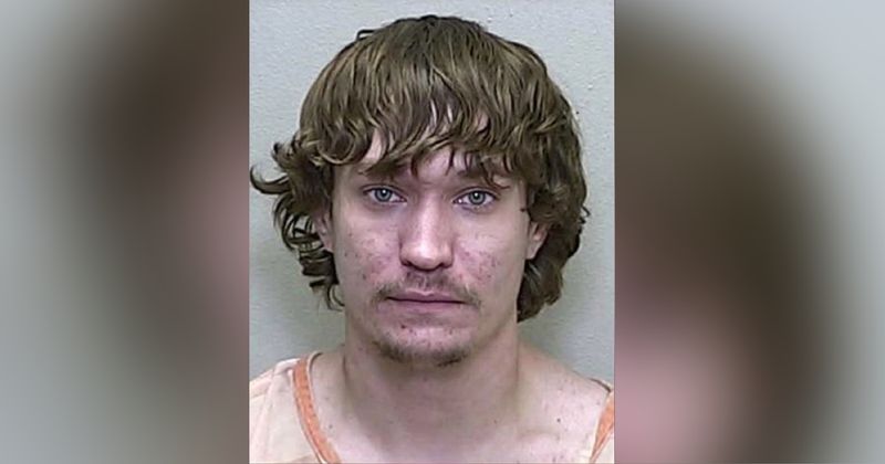 Florida man who 'filmed himself having sex with dogs' gets caught after he left his phone in a restaurant