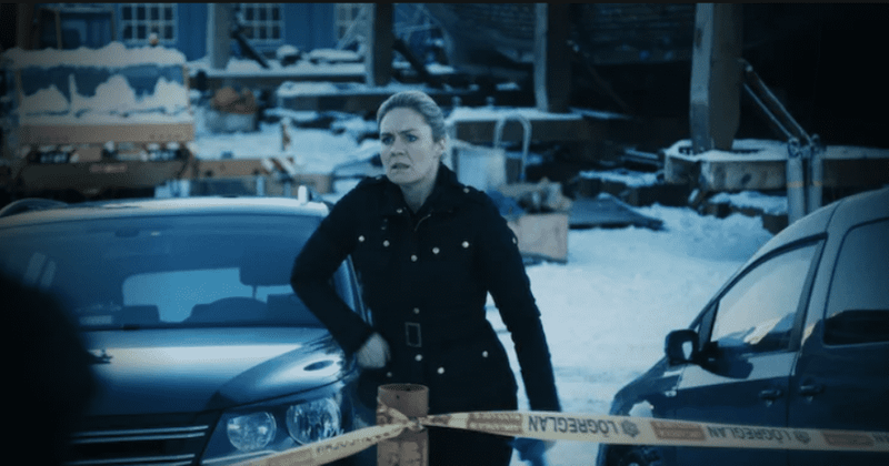 ‘The Valhalla Murders’: Release date, plot, cast, trailer, and all you need to know about the first Icelandic series on Netflix