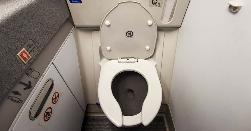 TikTok influencer licks airplane toilet seat for coronavirus challenge, gets called out: 'Put her a** in jail'