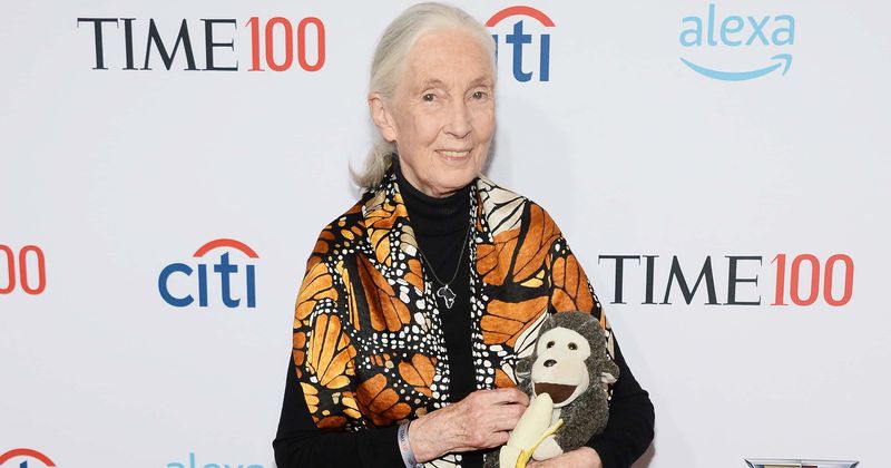 'Jane Goodall: The Hope': Release date, trailer and all you need to know about legendary chimp researcher's journey
