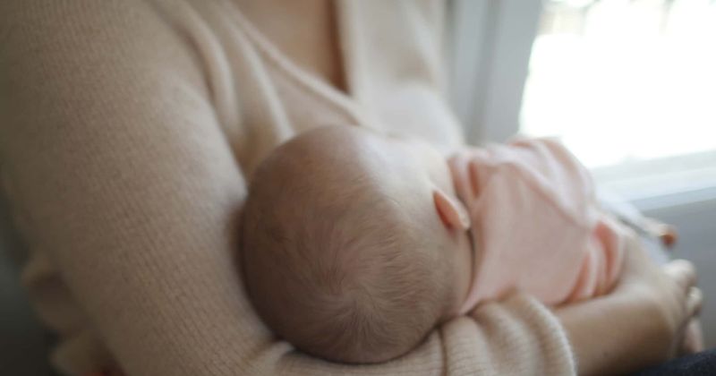 Man slams female co-worker for breastfeeding during Zoom meeting leaving internet divided: 'She doesn’t cover up'