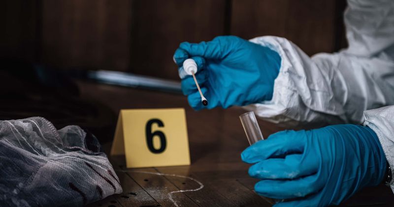 Ellen Greenberg: Mysterious death of Philadelphia woman found with 19 stab wounds was a giant coverup?