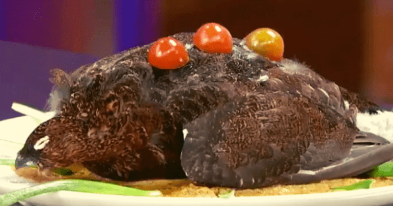 MasterChef contestant serves fully feathered dead bird to judges in outrageous video, gets booted off show