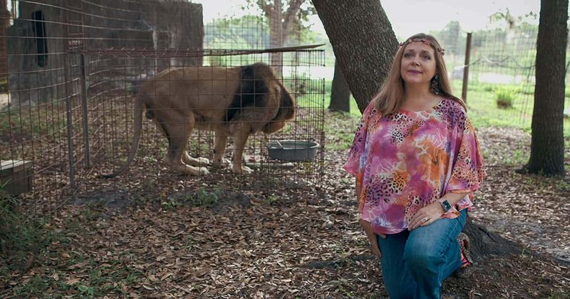 ‘Tiger King’ Joe Exotic’s murder-for-hire target Carole Baskin gets her own trading card