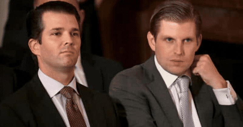 Trump's sons push wild conspiracy theories calling Covid-19 a 'ploy' and Joe Biden a 'pedophile', spark outrage