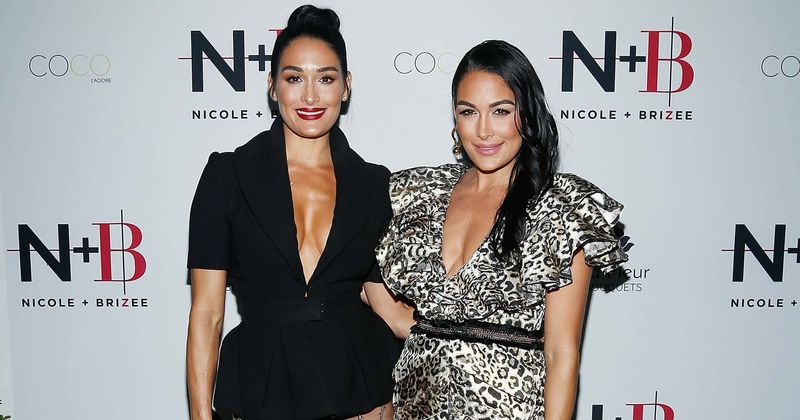 'Total Bellas': Is Brie planning to sue her new neighbor Nikki for littering her property?