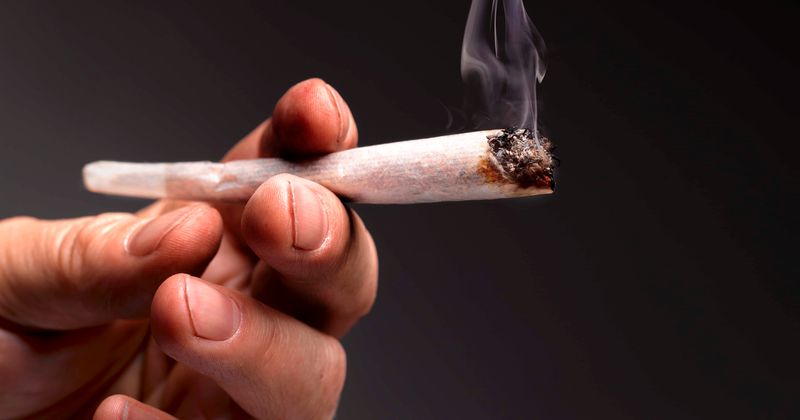 Cannabis may reduce coronavirus infection by up to 70% and even treat it, says research
