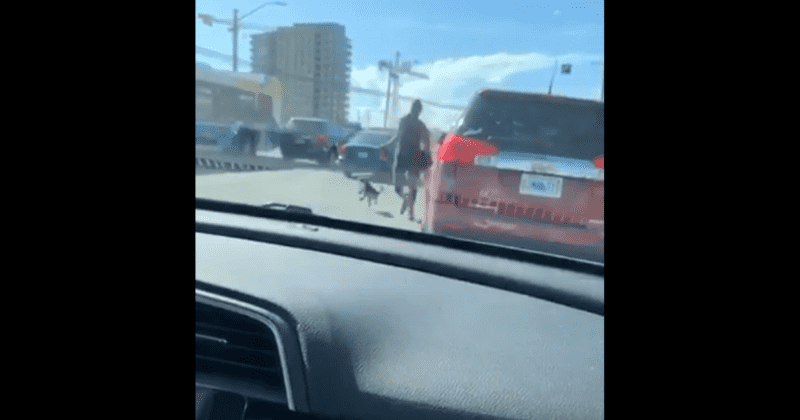 Woman grabs puppy by leash and violently swings it like a weapon at owner in horrifying road rage video