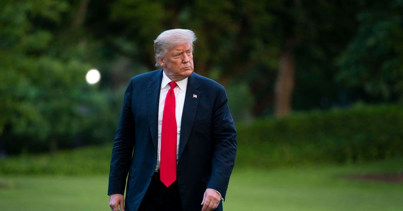 Saving Earth: Trump's track record for wildlife conservation makes him the 'most anti-nature President' ever