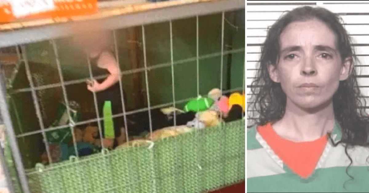 Tennessee toddler kept in feces-filled cage next to boa constrictor in filthy trailer, mom and 2 others held
