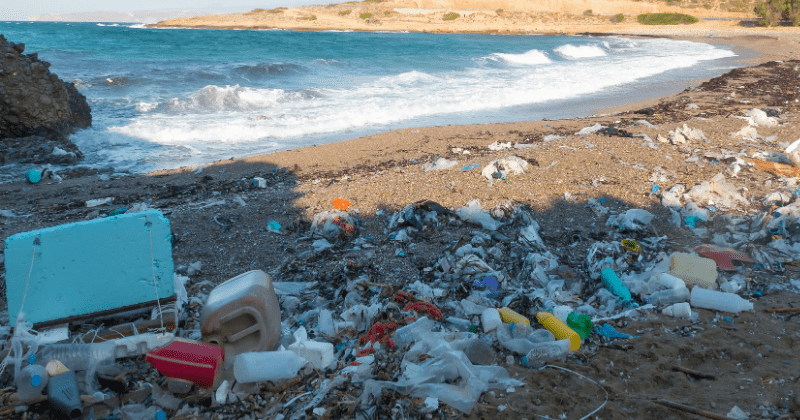 How much is US responsible for plastic pollution? America is a top contributor to coastal environments, study says