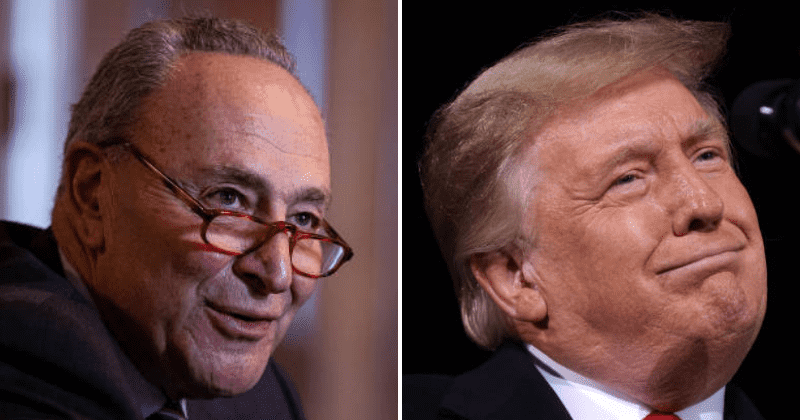Chuck Schumer says Trump incited the 'erection' in major faux pas in Senate: 'I regret the image it conjured'