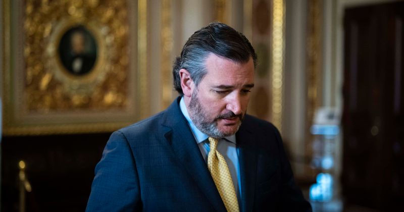 Ted Cruz body-shamed for 'beer belly' and wearing skinny jeans at Cancun airport: 'He has a figure like Trump'