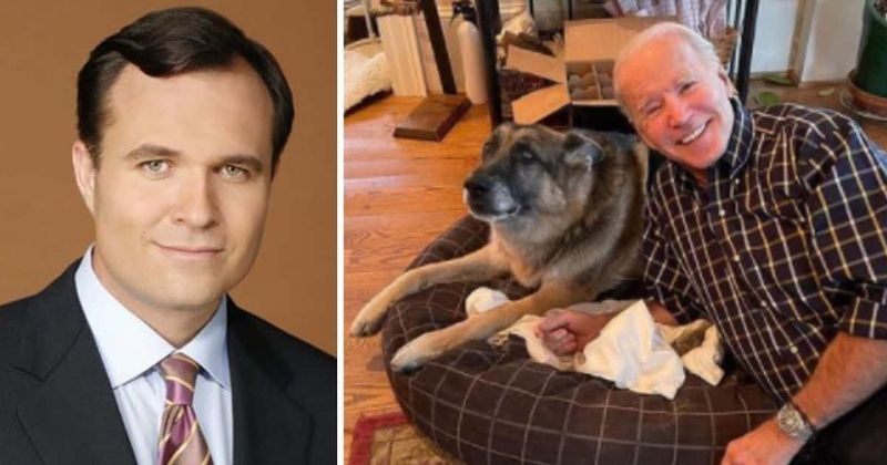 Newsmax host Greg Kelly dubbed 'insipid ghoul' for saying Biden's dog Champ looks like he's 'from the junkyard'