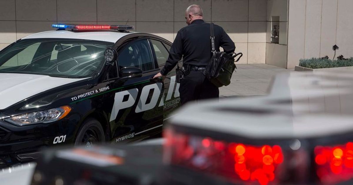 Ricardo Saldívar: Man, 23, stabs California woman, 66, and her dog to death, knocked unconscious by rock