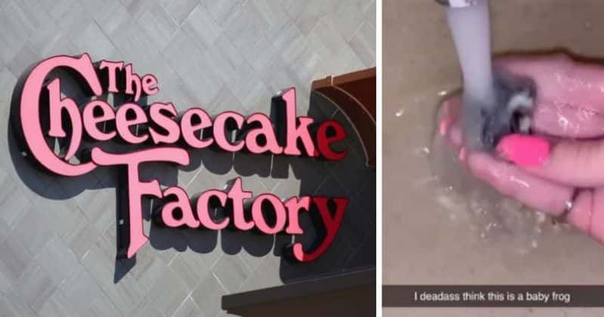 ‘Baby FROG’ in Cheesecake Factory's mashed potatoes? TikToker's shocking claim sparks paranoia but here's the truth