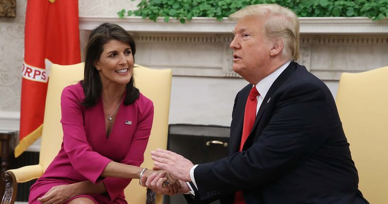 Nikki Haley says she won't contest if Trump runs for White House in 2024, Internet says 'spine made of gelatin'
